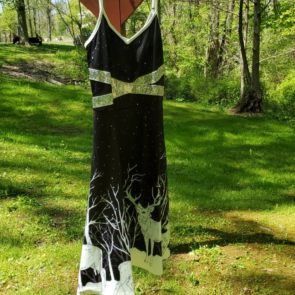 Holiday dress never worn